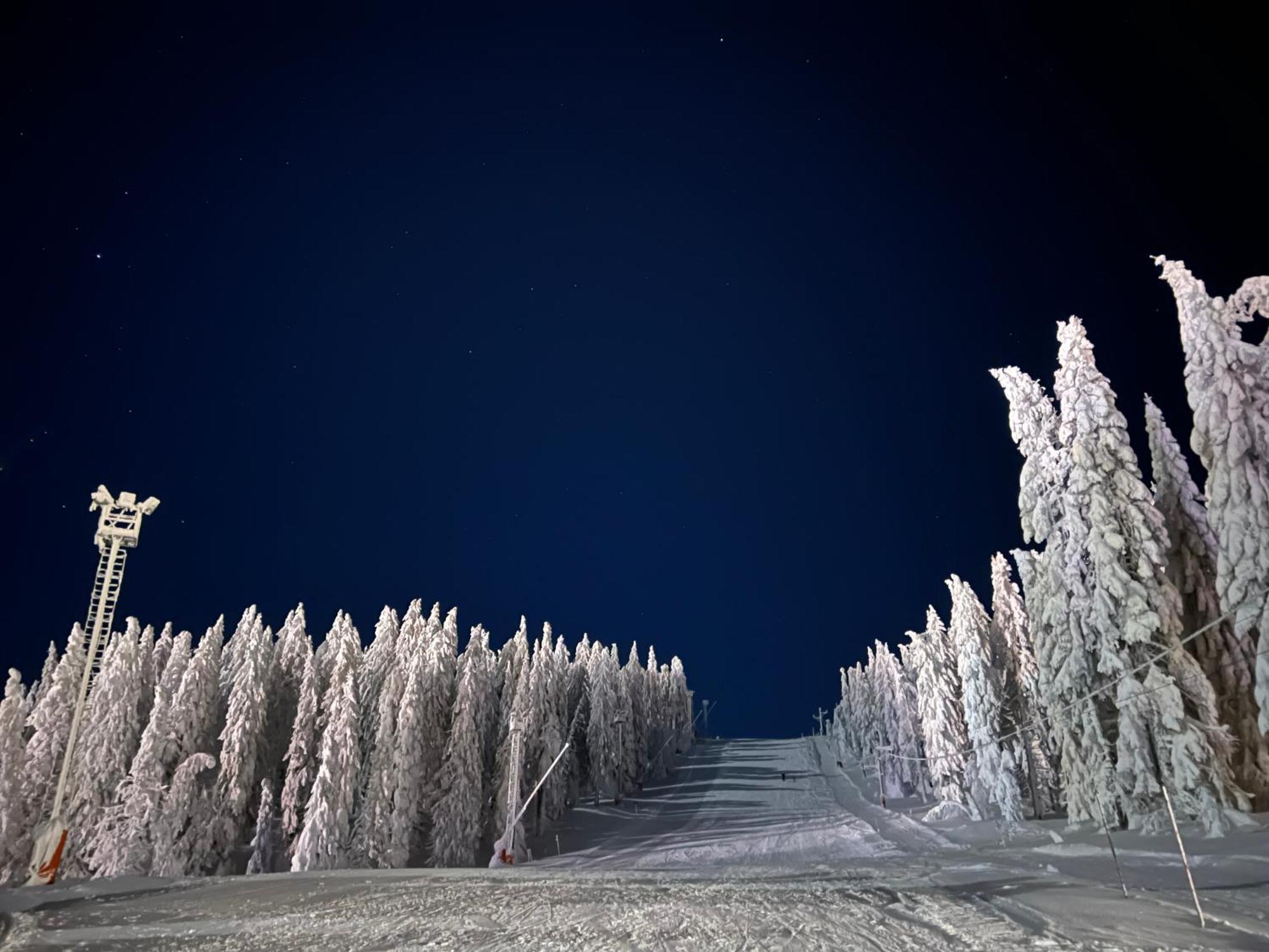 Vila Jezero Kopaonik Kültér fotó